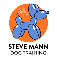 Steve mann sale dog trainer